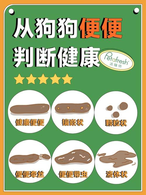 狗狗大便绿色什么原因,狗狗大便是绿色的是怎么回事?-第1张图片-后鲨宠物 狗狗大便绿色什么原因,狗狗大便是绿色的是怎么回事?-第1张图片-后鲨宠物