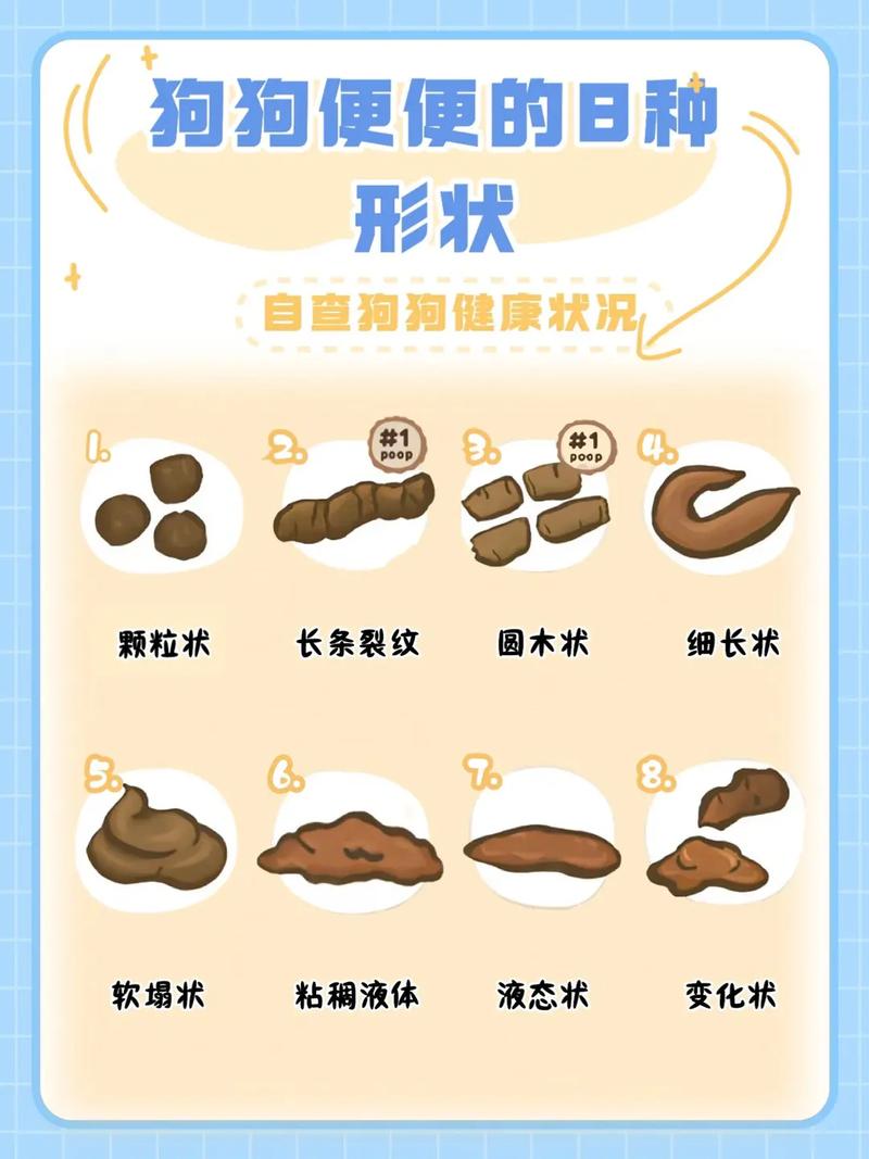 狗狗大便绿色什么原因,狗狗大便是绿色的是怎么回事?-第3张图片-后鲨宠物 狗狗大便绿色什么原因,狗狗大便是绿色的是怎么回事?-第3张图片-后鲨宠物