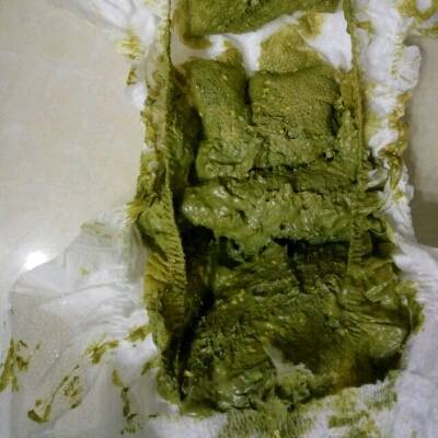 狗狗大便绿色什么原因,狗狗大便是绿色的是怎么回事?-第4张图片-后鲨宠物 狗狗大便绿色什么原因,狗狗大便是绿色的是怎么回事?-第4张图片-后鲨宠物