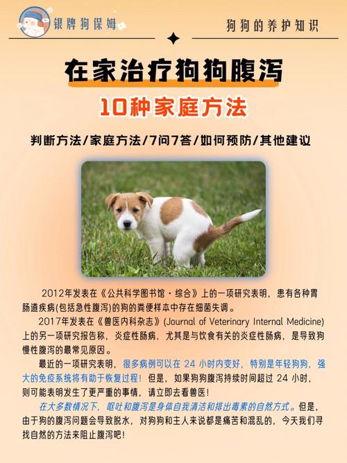 狗狗拉肚怎么办，狗狗拉肚怎么办不活泼？