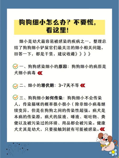 狗狗得细小的症状,狗狗得细小的症状为啥是先拉血后呕吐呢??-第5张图片-后鲨宠物 狗狗得细小的症状,狗狗得细小的症状为啥是先拉血后呕吐呢??-第5张图片-后鲨宠物