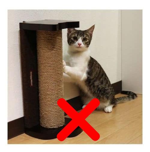  猫咪喜欢抓沙发怎么办，猫咪爱抓沙发-第1张图片-后鲨宠物