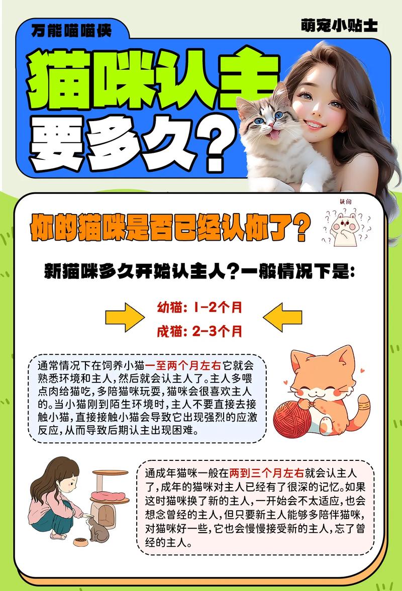 猫咪多久认主人,猫咪多久才会认主人?-第2张图片-后鲨宠物 猫咪多久认主人,猫咪多久才会认主人?-第2张图片-后鲨宠物