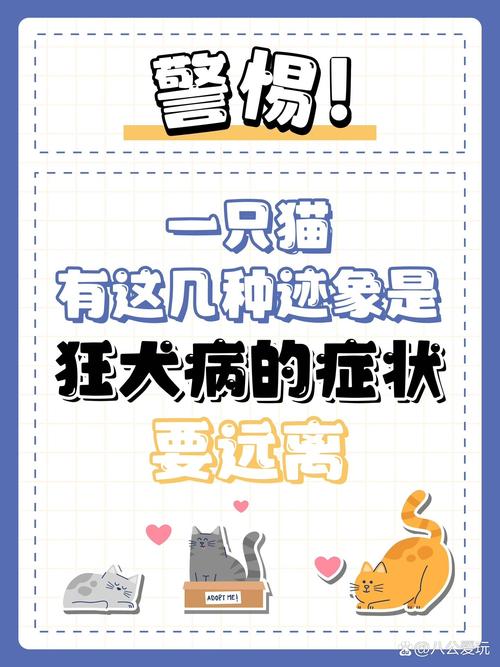 猫咪有狂犬病毒吗_被猫抓了怎么判断没事-第1张图片-后鲨宠物 猫咪有狂犬病毒吗_被猫抓了怎么判断没事-第1张图片-后鲨宠物