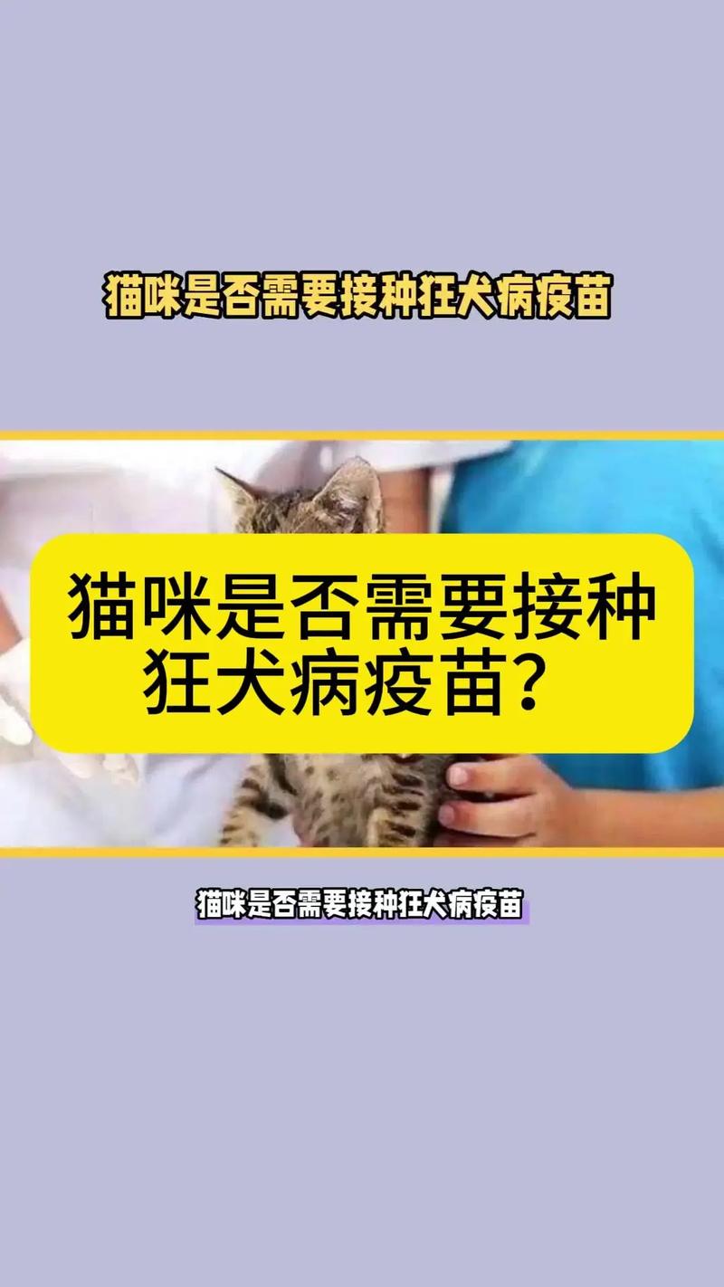 猫咪有狂犬病毒吗_被猫抓了怎么判断没事-第2张图片-后鲨宠物 猫咪有狂犬病毒吗_被猫抓了怎么判断没事-第2张图片-后鲨宠物