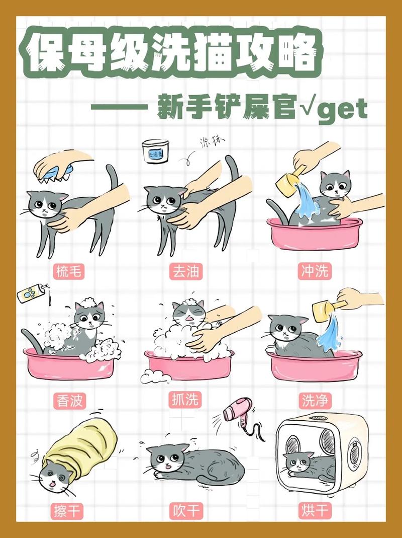 如何给猫咪洗澡,如何给猫咪洗澡不被咬?-第2张图片-后鲨宠物 如何给猫咪洗澡,如何给猫咪洗澡不被咬?-第2张图片-后鲨宠物