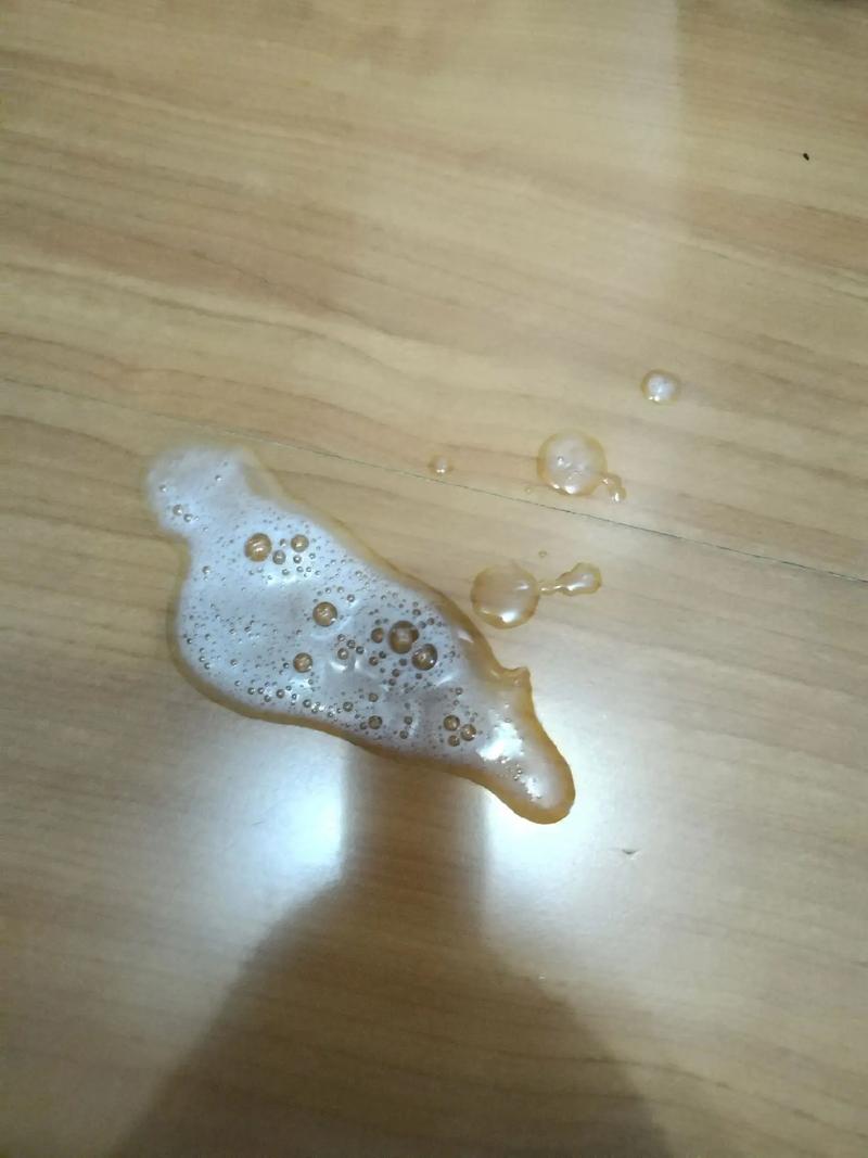 猫咪突然口吐白沫_猫咪突然口吐白沫怎么回事-第3张图片-后鲨宠物 猫咪突然口吐白沫_猫咪突然口吐白沫怎么回事-第3张图片-后鲨宠物