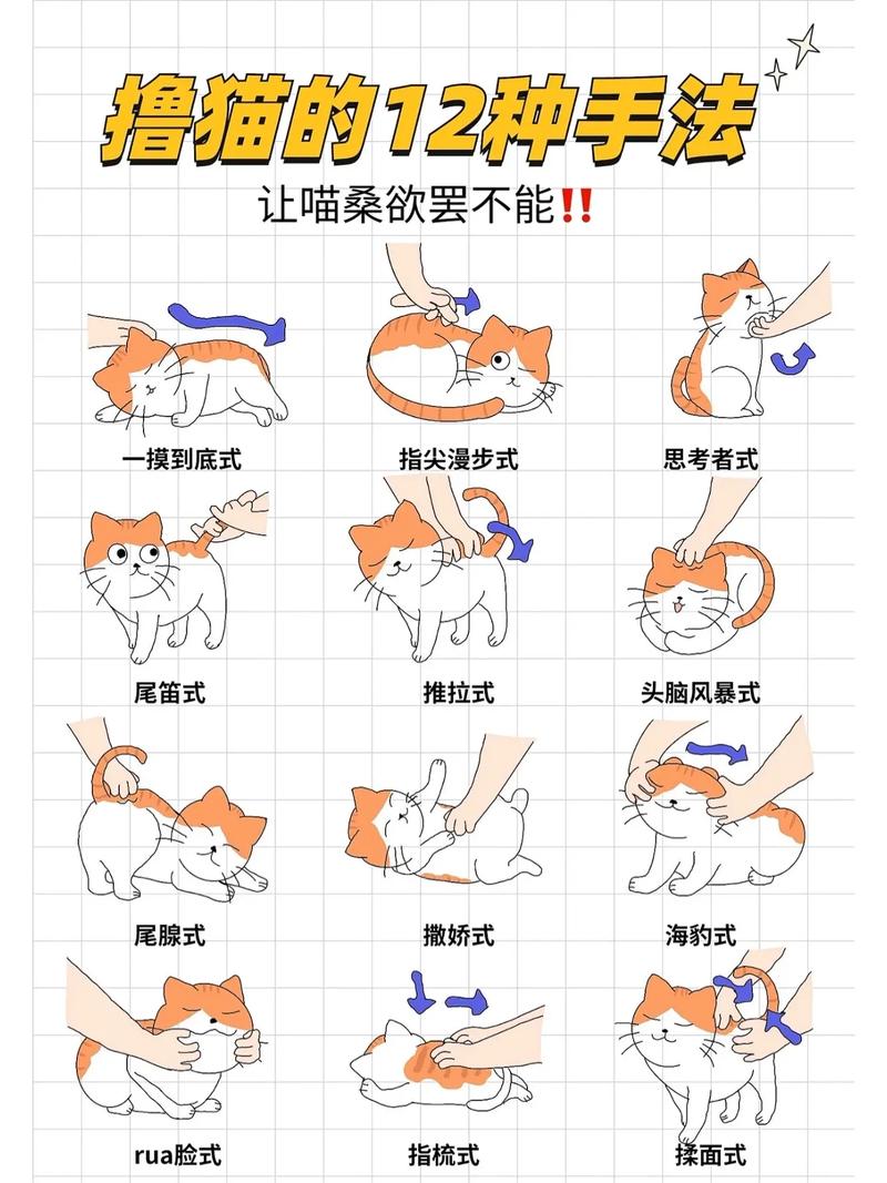 猫咪不让摸怎么办，猫咪不让摸是生气了吗？