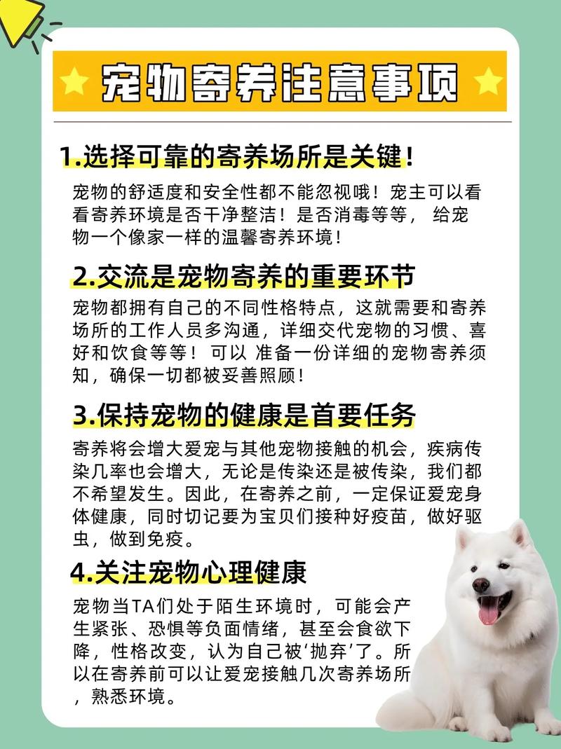  狗狗寄养注意事项，狗狗寄养注意事项及禁忌