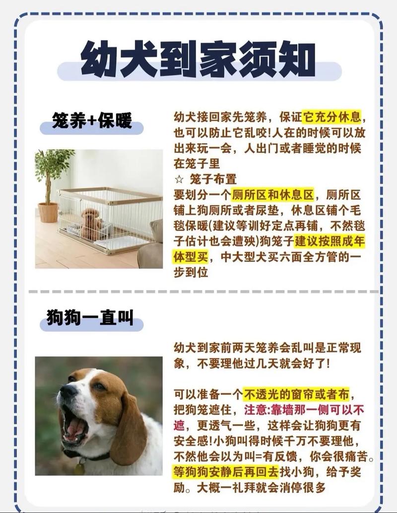 狗狗寄养注意事项,狗狗寄养注意事项及禁忌-第3张图片-后鲨宠物 狗狗寄养注意事项,狗狗寄养注意事项及禁忌-第3张图片-后鲨宠物