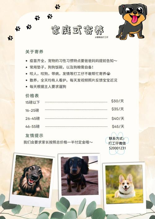 狗狗寄养注意事项,狗狗寄养注意事项及禁忌-第6张图片-后鲨宠物 狗狗寄养注意事项,狗狗寄养注意事项及禁忌-第6张图片-后鲨宠物