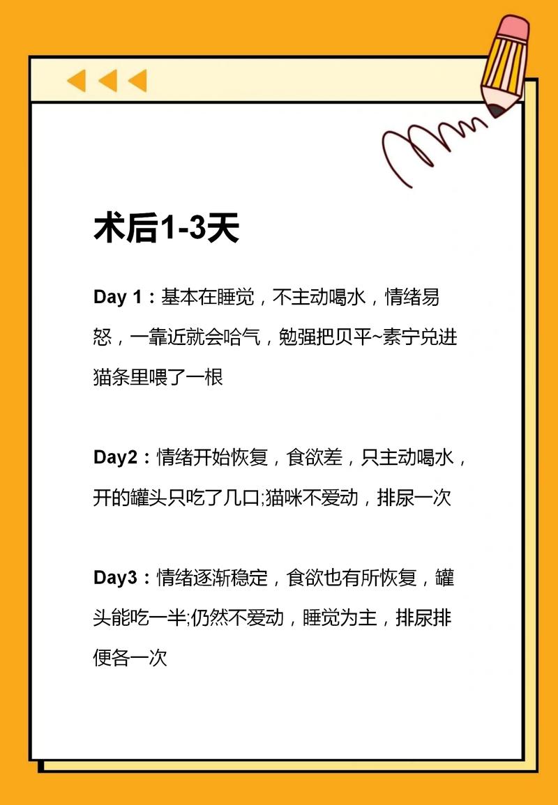 猫咪绝育后多久恢复,猫咪绝育后多久恢复正常?-第2张图片-后鲨宠物 猫咪绝育后多久恢复,猫咪绝育后多久恢复正常?-第2张图片-后鲨宠物