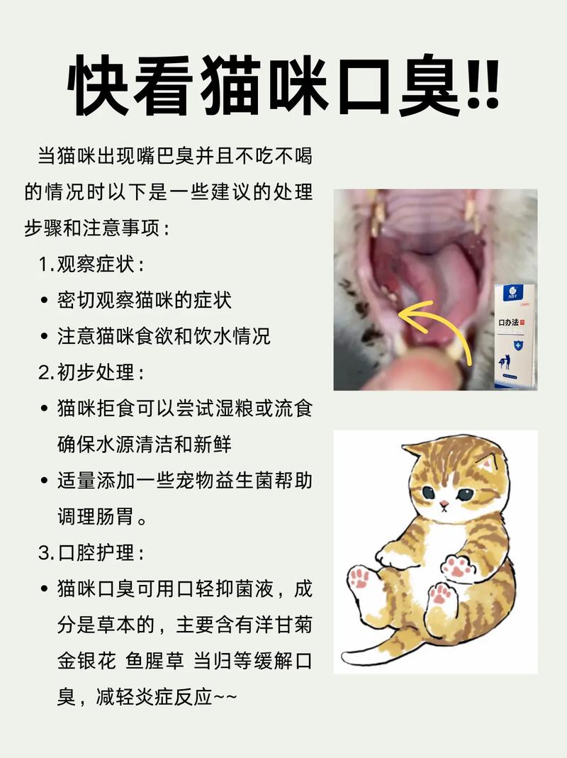 猫咪吃喝正常但就是口臭_猫吃完东西嘴臭-第1张图片-后鲨宠物 猫咪吃喝正常但就是口臭_猫吃完东西嘴臭-第1张图片-后鲨宠物