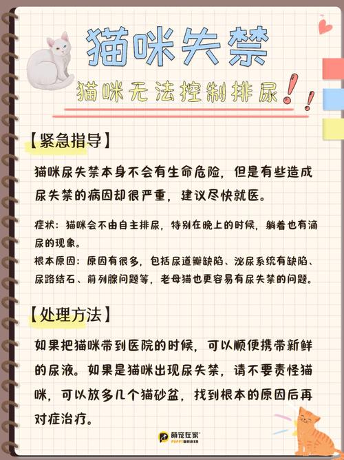 猫咪尿频尿血吃什么药,猫咪尿频尿血吃什么药管用-第4张图片-后鲨宠物 猫咪尿频尿血吃什么药,猫咪尿频尿血吃什么药管用-第4张图片-后鲨宠物