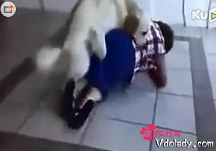 狗狗发情怎么处理_狗狗发情怎么处理比较好