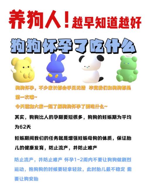 孕期狗狗适合吃什么，孕期狗狗适合吃什么食物？