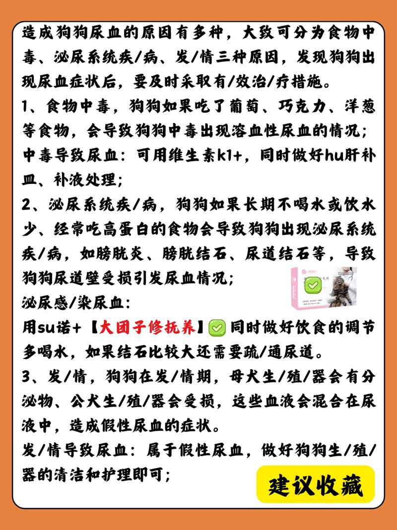 小狗狗尿血是怎么回事_小狗狗尿血是怎么回事用什么药-第2张图片-后鲨宠物 小狗狗尿血是怎么回事_小狗狗尿血是怎么回事用什么药-第2张图片-后鲨宠物