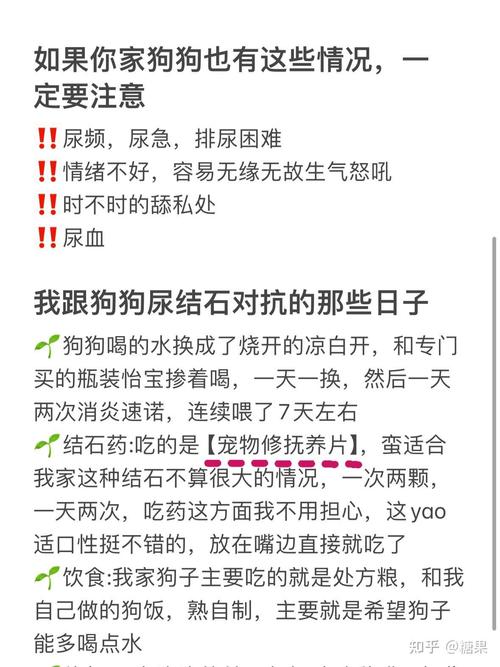 小狗狗尿血是怎么回事_小狗狗尿血是怎么回事用什么药-第3张图片-后鲨宠物 小狗狗尿血是怎么回事_小狗狗尿血是怎么回事用什么药-第3张图片-后鲨宠物