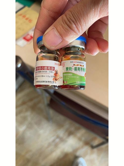 狗狗得了细小吃什么药_狗狗得了细小吃什么药好快