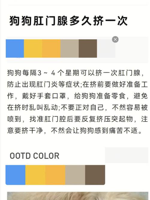 狗狗切除肛门腺的利弊_狗狗肛门腺切除费用-第3张图片-后鲨宠物 狗狗切除肛门腺的利弊_狗狗肛门腺切除费用-第3张图片-后鲨宠物