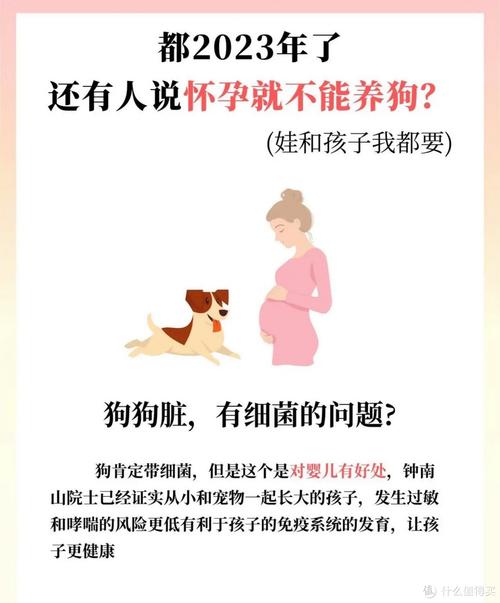 家里有狗狗对孕妇有影响吗_家里养狗有孕妇怎么处理-第4张图片-后鲨宠物 家里有狗狗对孕妇有影响吗_家里养狗有孕妇怎么处理-第4张图片-后鲨宠物