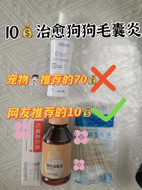 狗狗毛囊炎用什么药,狗狗毛囊炎用什么药好?-第4张图片-后鲨宠物 狗狗毛囊炎用什么药,狗狗毛囊炎用什么药好?-第4张图片-后鲨宠物