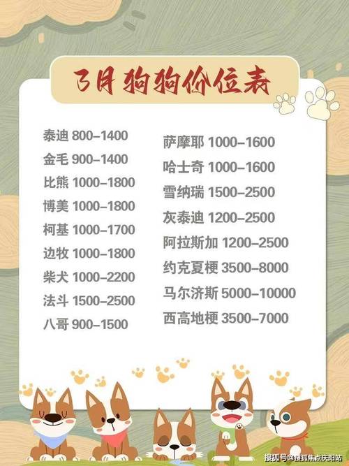 养只狗狗一个月多少钱,养只狗一个月大概多少钱-第3张图片-后鲨宠物 养只狗狗一个月多少钱,养只狗一个月大概多少钱-第3张图片-后鲨宠物