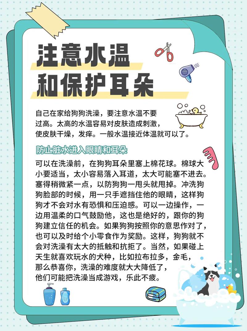 狗狗干洗粉有用吗，狗狗干洗粉有用吗能用多久？-第6张图片-后鲨宠物