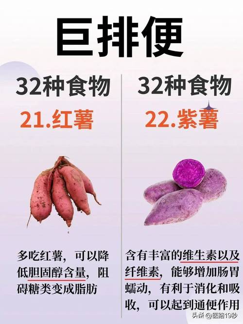 猫咪便秘吃什么_猫咪便秘吃什么改善-第2张图片-后鲨宠物 猫咪便秘吃什么_猫咪便秘吃什么改善-第2张图片-后鲨宠物