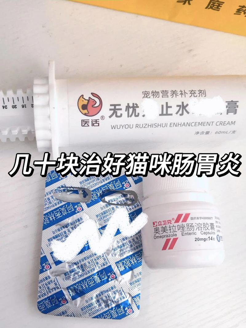 猫咪便秘吃什么_猫咪便秘吃什么改善-第5张图片-后鲨宠物 猫咪便秘吃什么_猫咪便秘吃什么改善-第5张图片-后鲨宠物