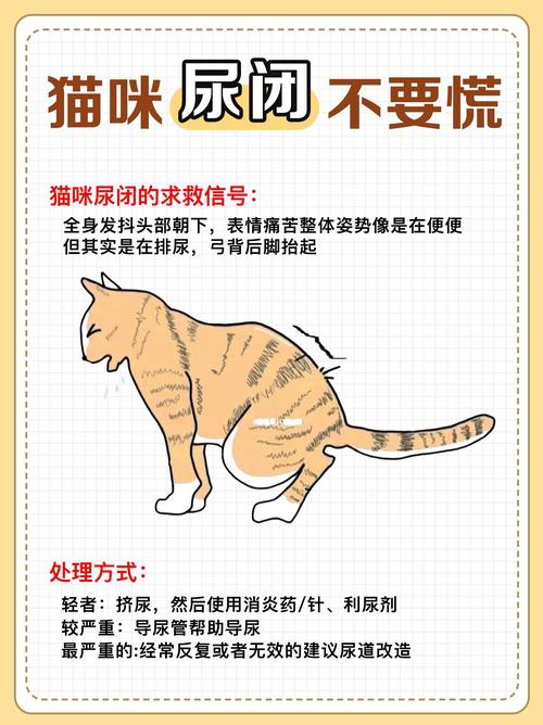 猫咪没有猫砂会憋多久_猫咪没有猫砂会拉粑粑吗-第3张图片-后鲨宠物 猫咪没有猫砂会憋多久_猫咪没有猫砂会拉粑粑吗-第3张图片-后鲨宠物