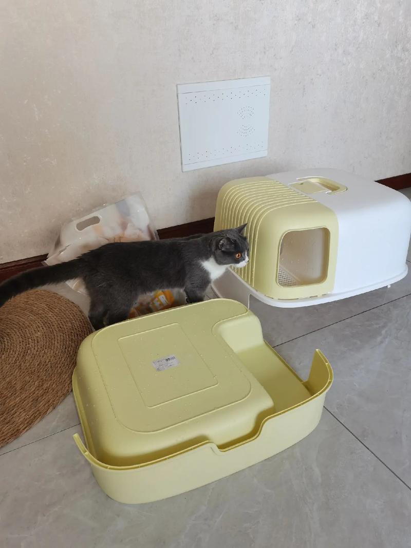 猫咪没有猫砂会憋多久_猫咪没有猫砂会拉粑粑吗-第4张图片-后鲨宠物 猫咪没有猫砂会憋多久_猫咪没有猫砂会拉粑粑吗-第4张图片-后鲨宠物