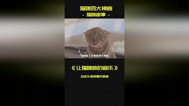 猫咪喜欢什么音乐_猫最喜欢什么音乐-第4张图片-后鲨宠物 猫咪喜欢什么音乐_猫最喜欢什么音乐-第4张图片-后鲨宠物