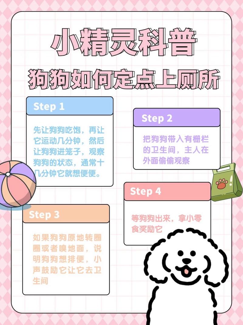 如何教狗狗定点上厕所,如何教狗狗定点小便-第5张图片-后鲨宠物 如何教狗狗定点上厕所,如何教狗狗定点小便-第5张图片-后鲨宠物