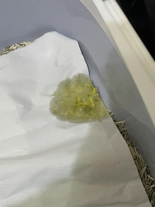 猫咪小便黄怎么回事，猫猫小便黄？-第1张图片-后鲨宠物