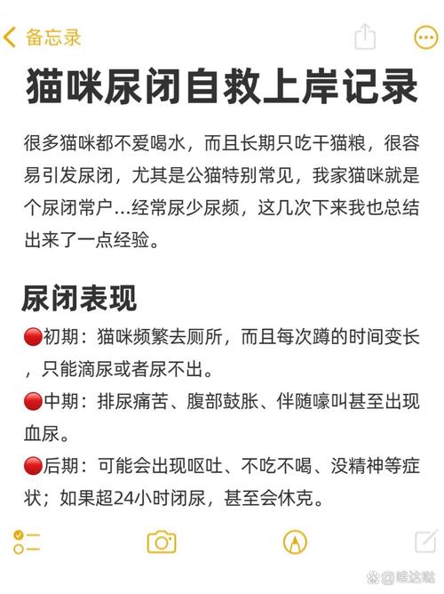 猫咪小便黄怎么回事，猫猫小便黄？-第3张图片-后鲨宠物