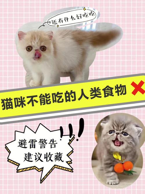 猫咪可以吃鸭肝吗,猫咪可以吃鸭肝吗有营养吗?-第6张图片-后鲨宠物 猫咪可以吃鸭肝吗,猫咪可以吃鸭肝吗有营养吗?-第6张图片-后鲨宠物