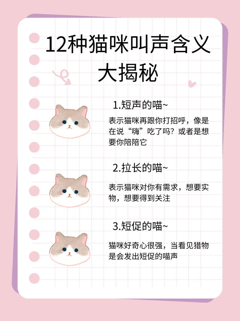 猫咪叫什么意思,猫咪叫什么意思英文-第4张图片-后鲨宠物 猫咪叫什么意思,猫咪叫什么意思英文-第4张图片-后鲨宠物