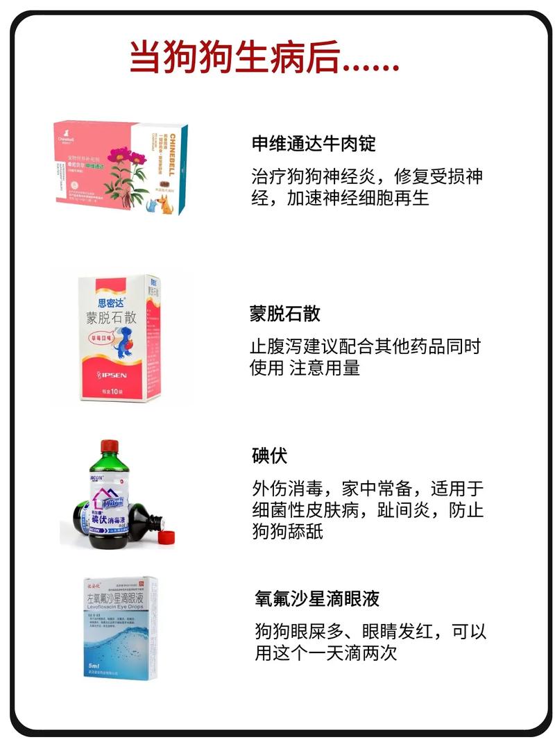狗狗板蓝根一次喂多少，狗狗板蓝根吃多少？
