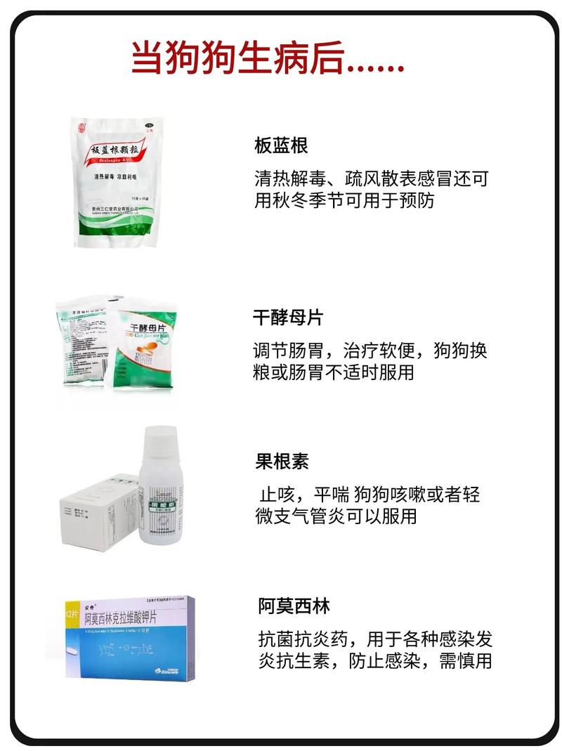 狗狗板蓝根一次喂多少,狗狗板蓝根吃多少?-第5张图片-后鲨宠物 狗狗板蓝根一次喂多少,狗狗板蓝根吃多少?-第5张图片-后鲨宠物