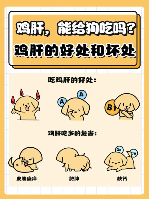 狗狗吃鸡肝好吗_狗狗吃鸡肝吗好吗