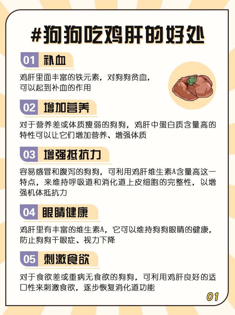 狗狗吃鸡肝好吗_狗狗吃鸡肝吗好吗-第3张图片-后鲨宠物 狗狗吃鸡肝好吗_狗狗吃鸡肝吗好吗-第3张图片-后鲨宠物