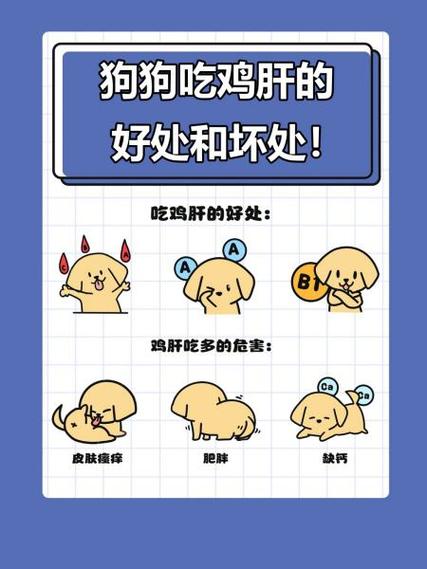 狗狗吃鸡肝好吗_狗狗吃鸡肝吗好吗-第4张图片-后鲨宠物 狗狗吃鸡肝好吗_狗狗吃鸡肝吗好吗-第4张图片-后鲨宠物
