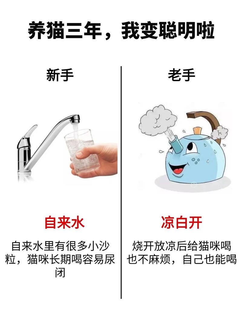 猫咪一直喝水怎么回事_猫咪一直喝水是什么原因-第3张图片-后鲨宠物 猫咪一直喝水怎么回事_猫咪一直喝水是什么原因-第3张图片-后鲨宠物