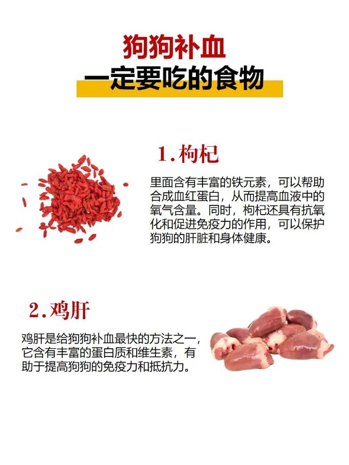 狗狗补血的食物有哪些_狗狗补血吃什么-第2张图片-后鲨宠物 狗狗补血的食物有哪些_狗狗补血吃什么-第2张图片-后鲨宠物