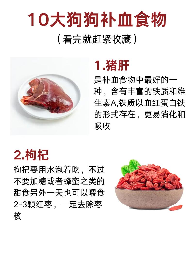 狗狗补血的食物有哪些_狗狗补血吃什么-第4张图片-后鲨宠物 狗狗补血的食物有哪些_狗狗补血吃什么-第4张图片-后鲨宠物