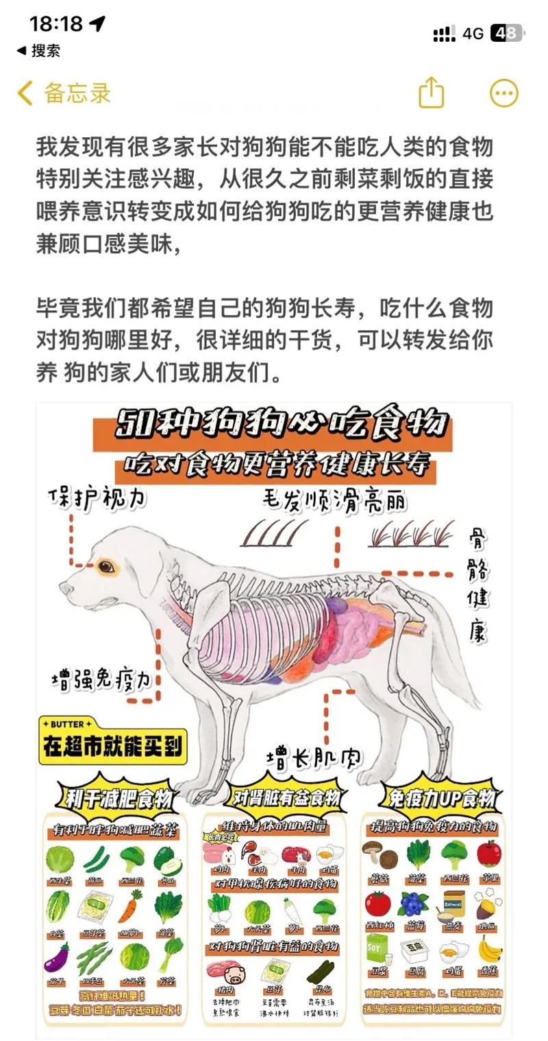 狗狗补血的食物有哪些_狗狗补血吃什么-第6张图片-后鲨宠物 狗狗补血的食物有哪些_狗狗补血吃什么-第6张图片-后鲨宠物