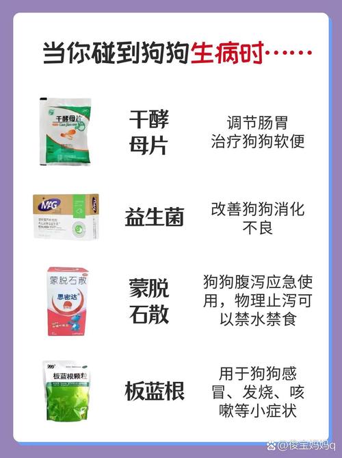 如何喂狗狗吃药,如何喂狗狗吃药最快?-第1张图片-后鲨宠物 如何喂狗狗吃药,如何喂狗狗吃药最快?-第1张图片-后鲨宠物