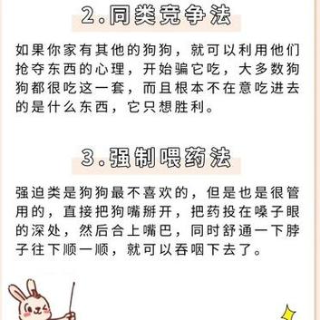 如何喂狗狗吃药,如何喂狗狗吃药最快?-第2张图片-后鲨宠物 如何喂狗狗吃药,如何喂狗狗吃药最快?-第2张图片-后鲨宠物