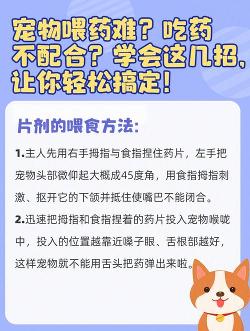 如何喂狗狗吃药,如何喂狗狗吃药最快?-第6张图片-后鲨宠物 如何喂狗狗吃药,如何喂狗狗吃药最快?-第6张图片-后鲨宠物
